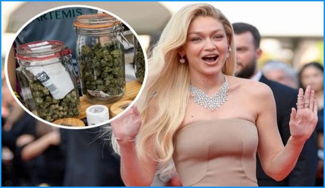 Gigi Hadid Mugshot: Is Gigi Hadid Arrested For Cocaine Or Cannabis?